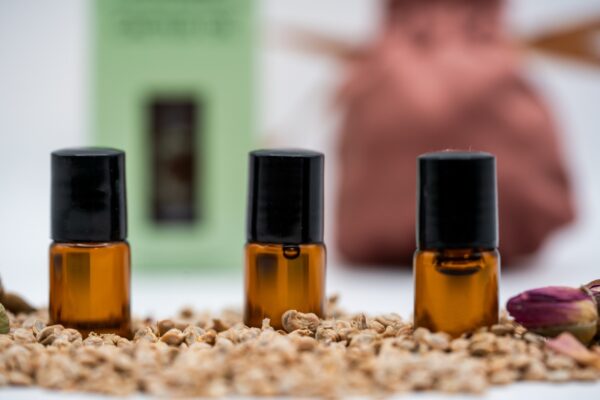 Noils Cactus Oil drei kleine Glasflaschen auf Kaktusfeigenkernen mit Samtbeutel