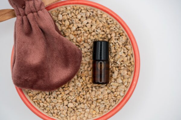 Noils Cactus Oil 2-ml-Fläschchen auf handverlesenen Kaktusfeigenkernen mit edlem Samtbeutel